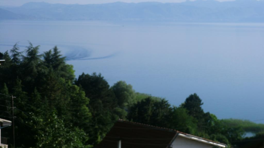 Villa Novak Ohrid Exterior foto